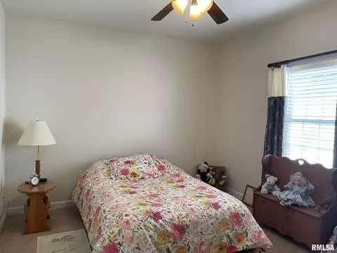 4412 Castle Pines Dr, Springfield, IL 62711 photo 19
