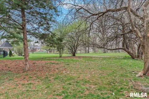 Exterior - 30 Burning Tree Dr, Chatham, IL 62629 photo 10 of 10