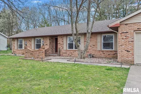 Exterior - 30 Burning Tree Dr, Chatham, IL 62629 photo 4 of 10
