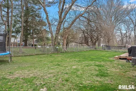 Exterior - 30 Burning Tree Dr, Chatham, IL 62629 photo 9 of 10