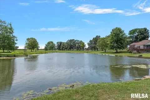 View/Area - 6505 Telstar Rd, Riverton, IL 62561 photo 5 of 6