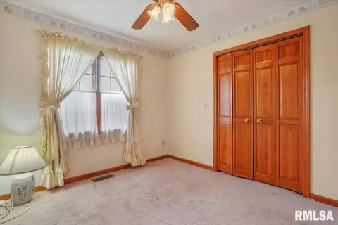 114 W Sherry Dr, Springfield, IL 62703 photo 14