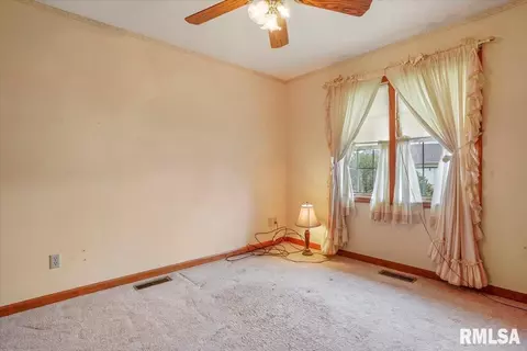 114 W Sherry Dr, Springfield, IL 62703 photo 13