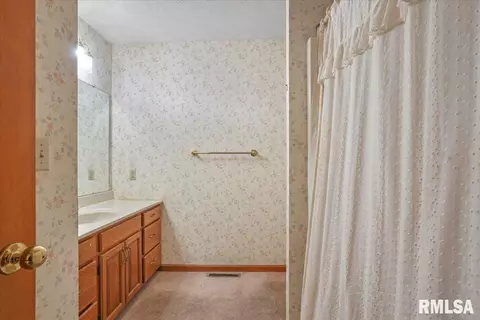 114 W Sherry Dr, Springfield, IL 62703 photo 17