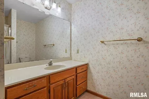 114 W Sherry Dr, Springfield, IL 62703 photo 16