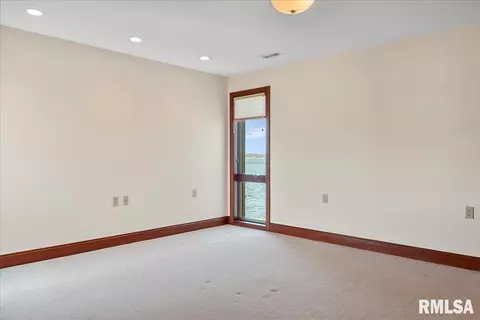317 Harbor Pointe Pl, Springfield, IL 62712 photo 41