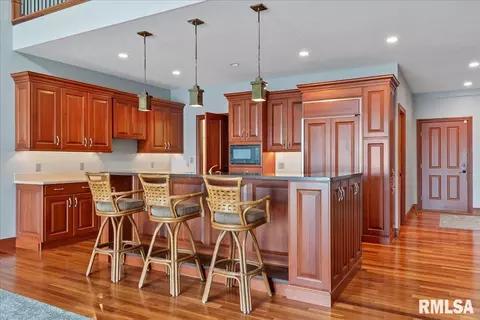 317 Harbor Pointe Pl, Springfield, IL 62712 photo 9