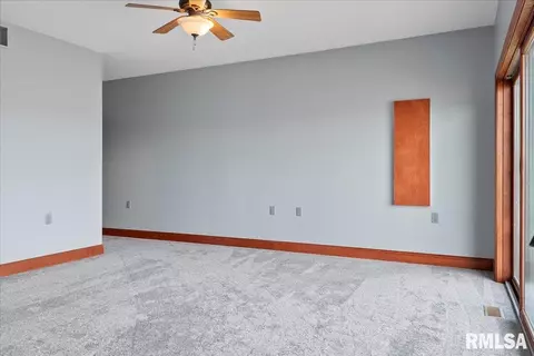 317 Harbor Pointe Pl, Springfield, IL 62712 photo 20