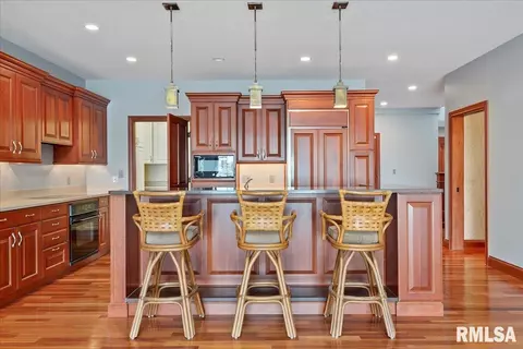 317 Harbor Pointe Pl, Springfield, IL 62712 photo 10