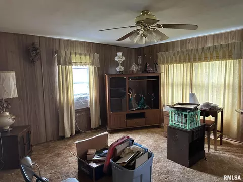 889 E 8th St, Lomax, IL 61454 photo 9