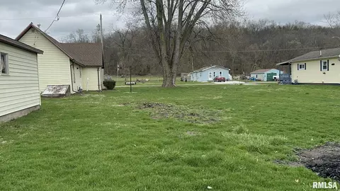 889 E 8th St, Lomax, IL 61454 photo 2