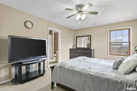 504 Willows Ave, Chatham, IL 62629 photo 20