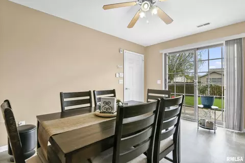 504 Willows Ave, Chatham, IL 62629 photo 18
