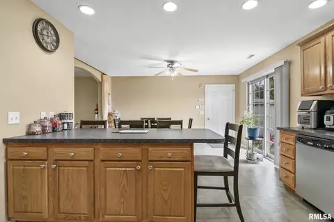 504 Willows Ave, Chatham, IL 62629 photo 15