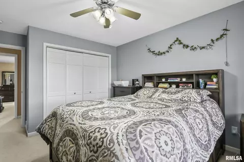 504 Willows Ave, Chatham, IL 62629 photo 25