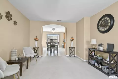 504 Willows Ave, Chatham, IL 62629 photo 9