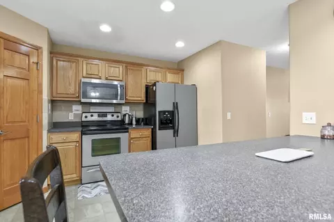 504 Willows Ave, Chatham, IL 62629 photo 14