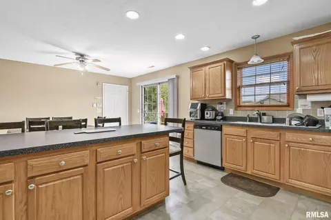 504 Willows Ave, Chatham, IL 62629 photo 13