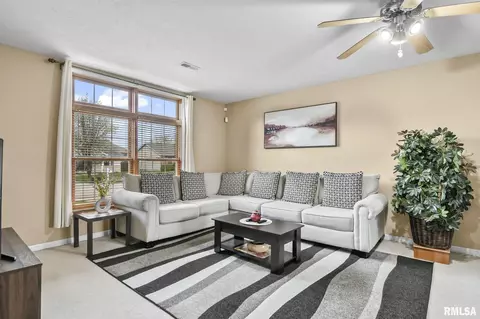 504 Willows Ave, Chatham, IL 62629 photo 7