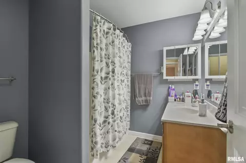 504 Willows Ave, Chatham, IL 62629 photo 23