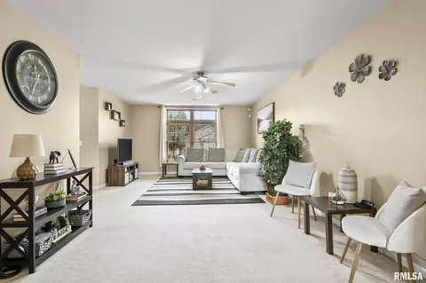 504 Willows Ave, Chatham, IL 62629 photo 8