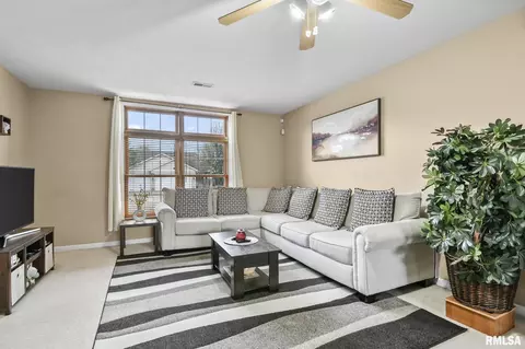 504 Willows Ave, Chatham, IL 62629 photo 6