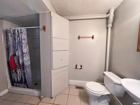 2205 S 12th St, Springfield, IL 62703 photo 6