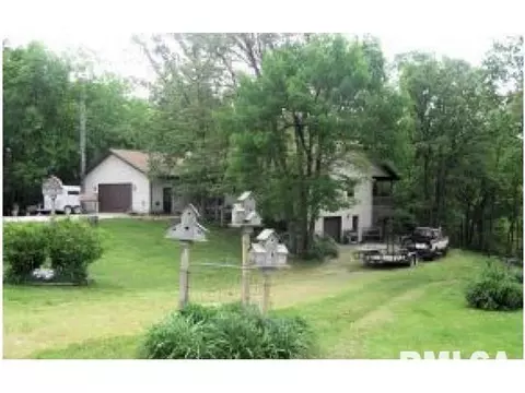 31162 Deer Creek Rd, Girard, IL 62640