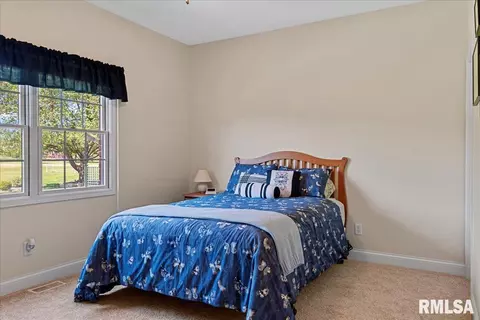 4313 Turtle Bay Dr, Springfield, IL 62711 photo 19