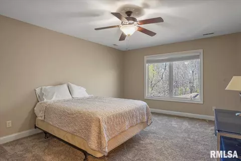4213 Creek Dr, Springfield, IL 62711 photo 44