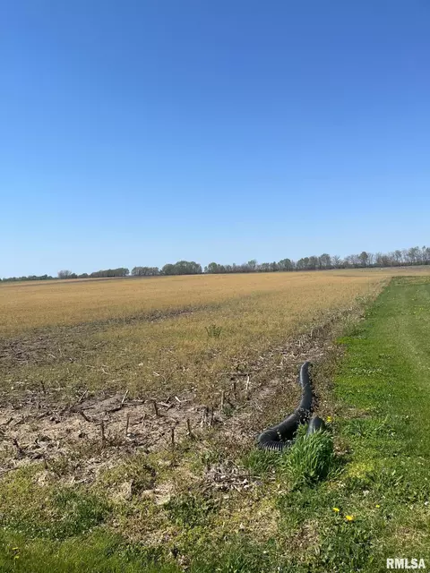 26 75 Acres W Springfield St, Lovington, IL 61937