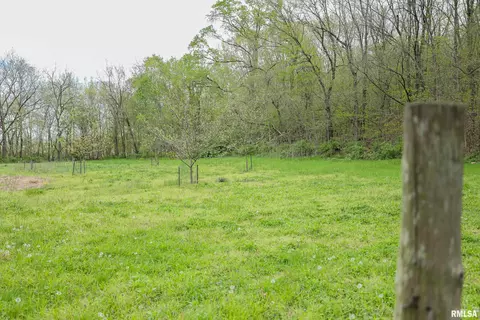 21779 335th Ave, Kinderhook, IL 62345 photo 41