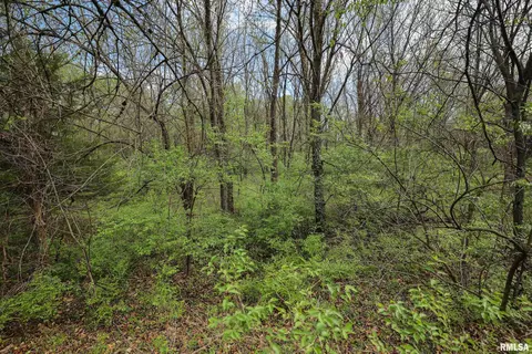21779 335th Ave, Kinderhook, IL 62345 photo 72