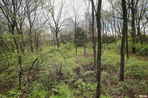 21779 335th Ave, Kinderhook, IL 62345 photo 71