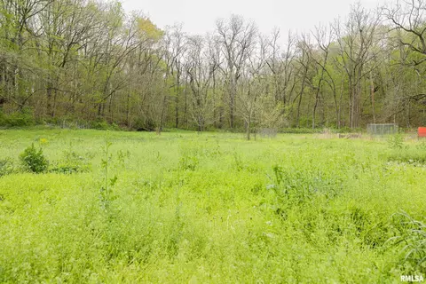 21779 335th Ave, Kinderhook, IL 62345 photo 36