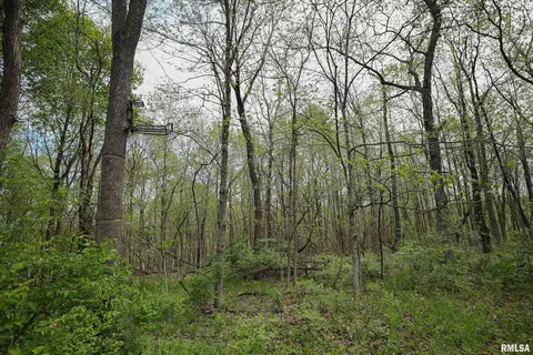 21779 335th Ave, Kinderhook, IL 62345 photo 60