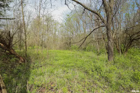 21779 335th Ave, Kinderhook, IL 62345 photo 64