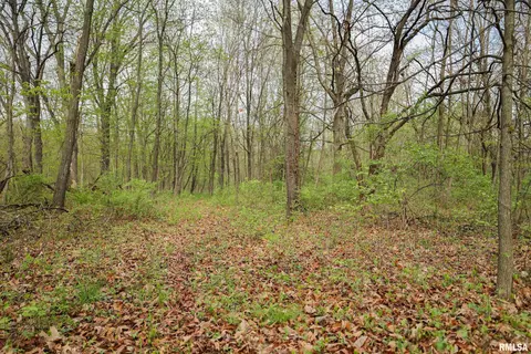 21779 335th Ave, Kinderhook, IL 62345 photo 78