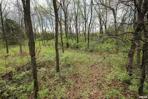 21779 335th Ave, Kinderhook, IL 62345 photo 73