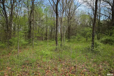 21779 335th Ave, Kinderhook, IL 62345 photo 76