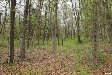 21779 335th Ave, Kinderhook, IL 62345 photo 81