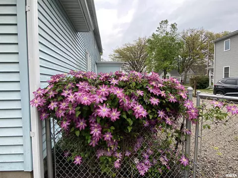 Exterior - 216 W Elliott St, Springfield, IL 62702 photo 11 of 12