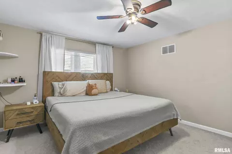 906 N Walnut St, Springfield, IL 62702 photo 19