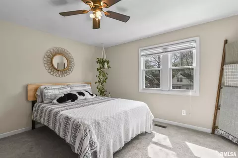906 N Walnut St, Springfield, IL 62702 photo 25