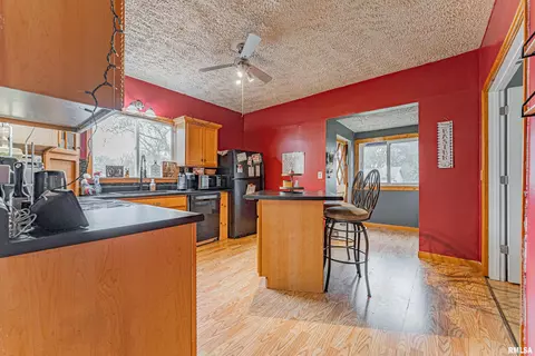 207 Main St, Middletown, IL 62666 photo 8