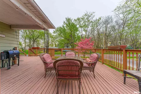 207 Main St, Middletown, IL 62666 photo 30