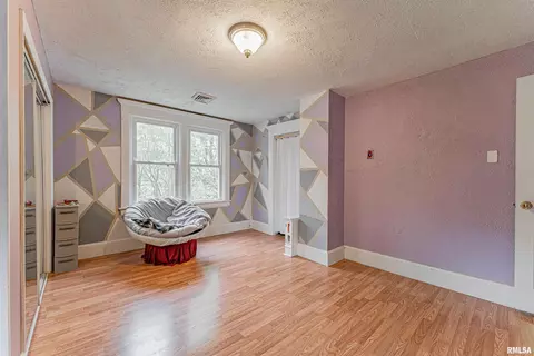 207 Main St, Middletown, IL 62666 photo 28