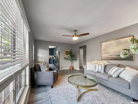 Living - 209 W Perkins St, Payson, IL 62360 photo 4 of 4
