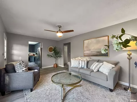 Living - 209 W Perkins St, Payson, IL 62360 photo 3 of 4