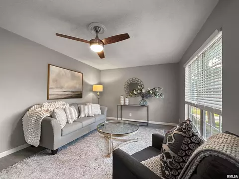 Living - 209 W Perkins St, Payson, IL 62360 photo 1 of 4